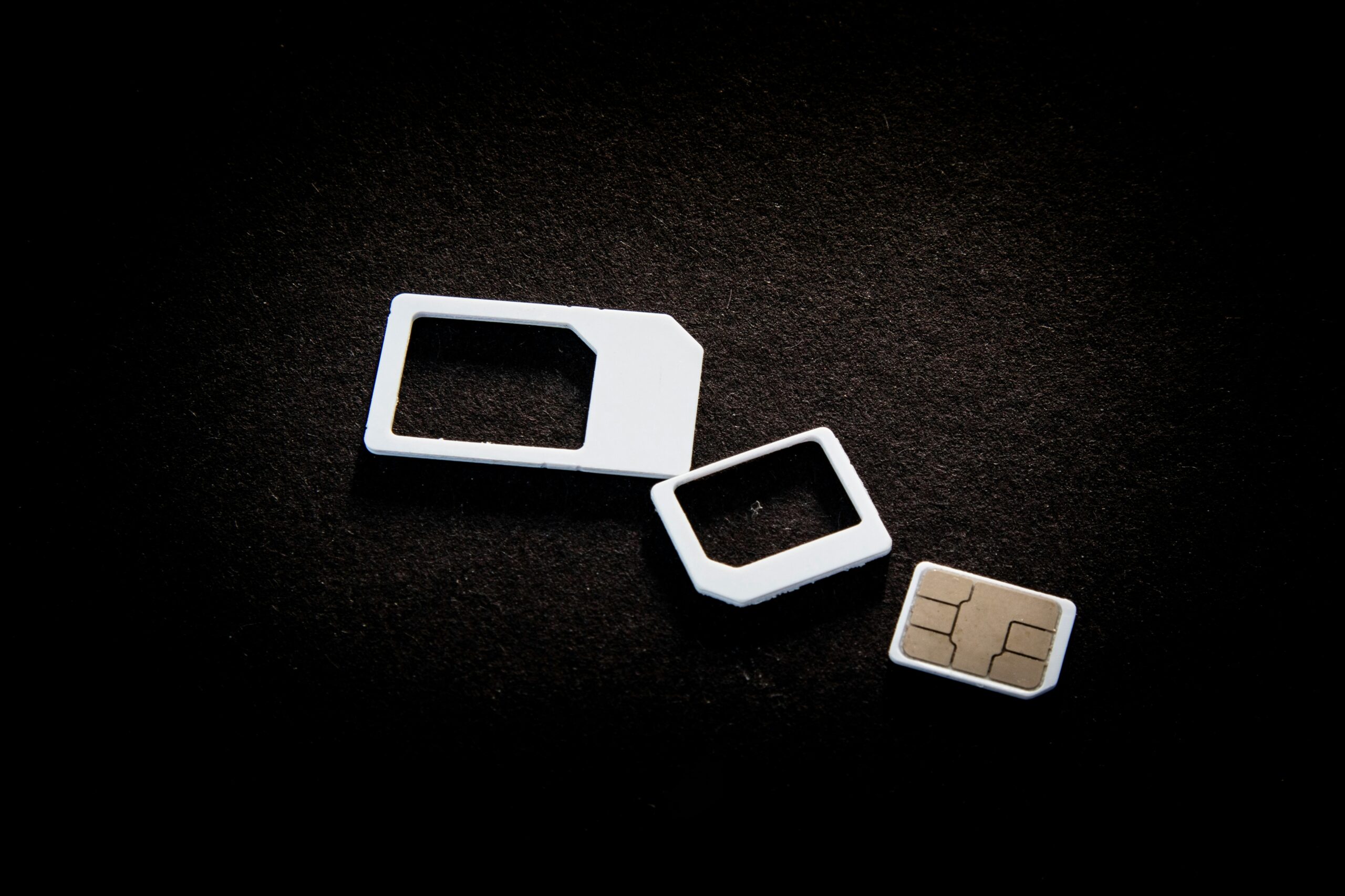 user pascal 7qlxfefnv14 unsplash